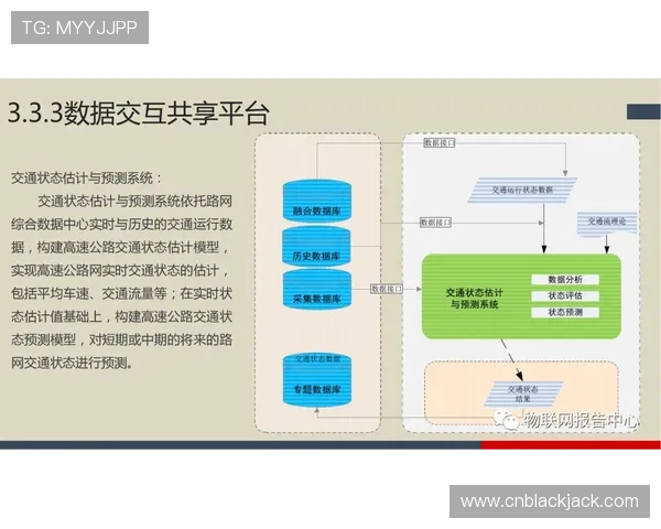 二十一点优选策略的核心原理与实战操作技巧详尽解析与案例分享