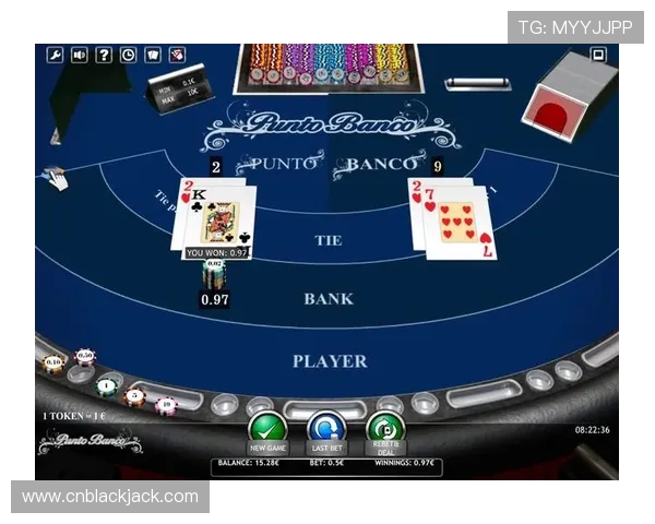 二十一点规则全面解析：不同赌场的规则差异与应对技巧