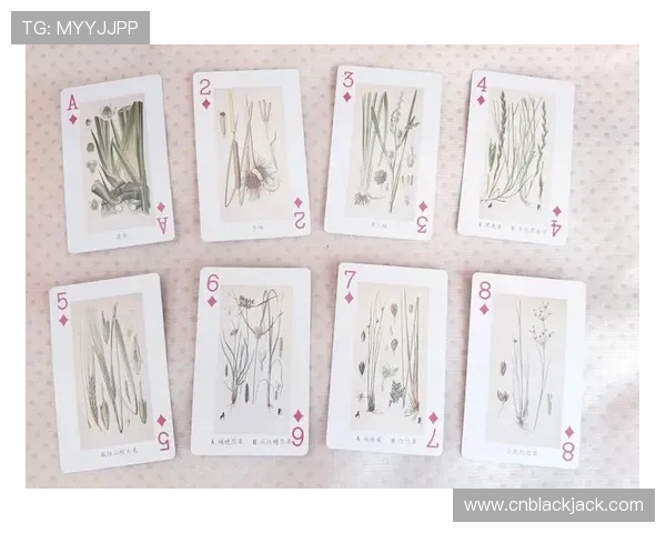 使用两副扑克牌进行娱乐的多样玩法及注意事项