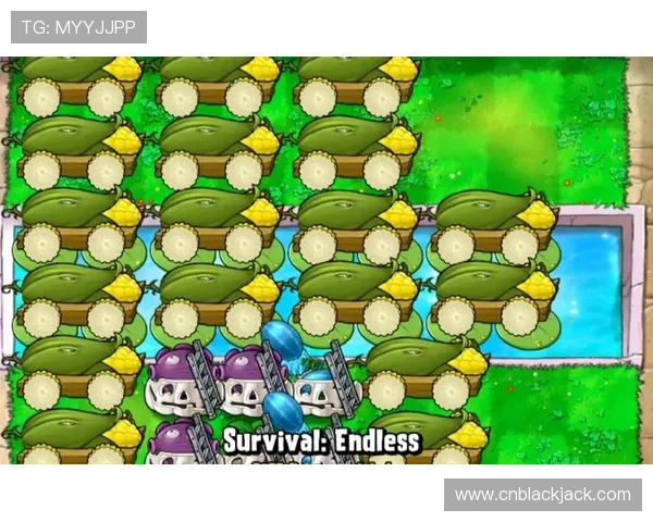 单机游戏二十一点:适合新手玩家的单机二十一点入门指南 单机游戏二十一点:适合新手玩家的单机二十一点入门指南