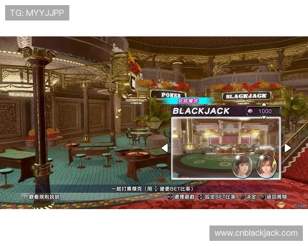 简单易懂的黑杰克玩法教程帮助新手快速提升游戏水平